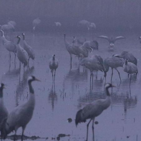 Gite De L'Etang Belval-en-Argonne المظهر الخارجي الصورة
