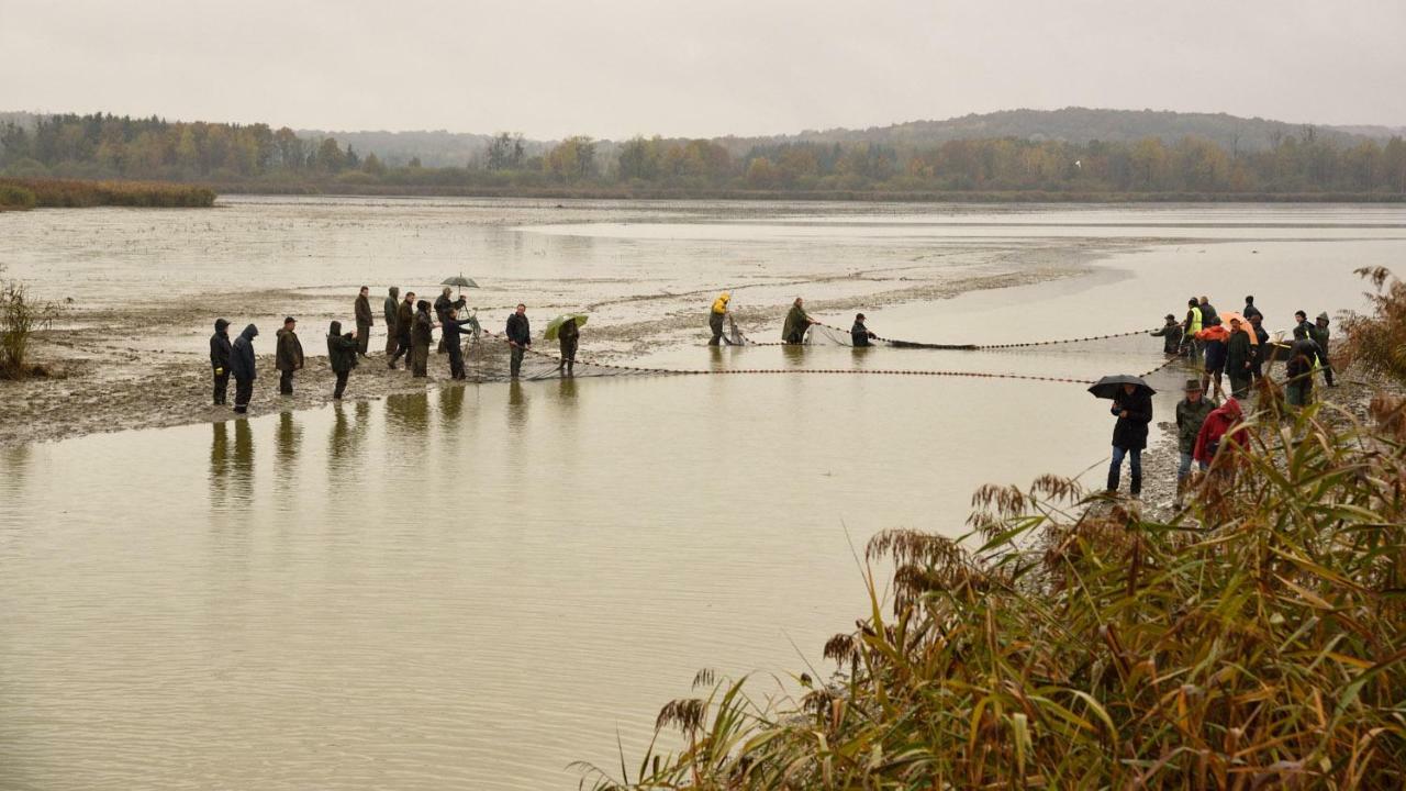 Gite De L'Etang Belval-en-Argonne المظهر الخارجي الصورة